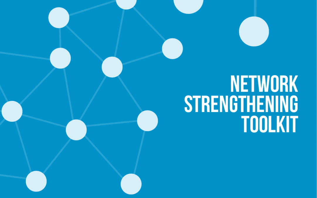 Pact’s Network Strengthening Toolkit: Module 4 Strengthening Approaches